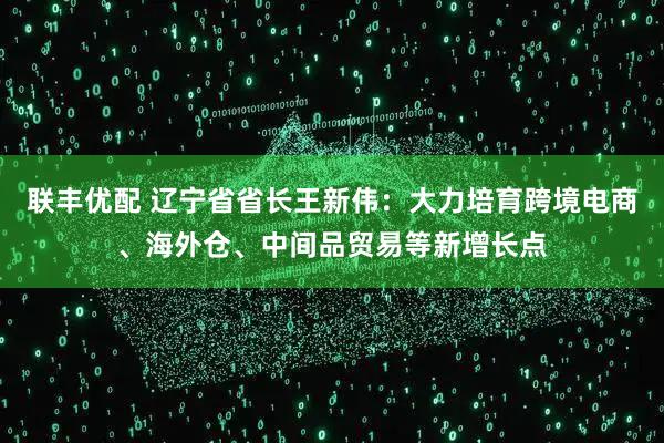 联丰优配 辽宁省省长王新伟：大力培育跨境电商、海外仓、中间品贸易等新增长点