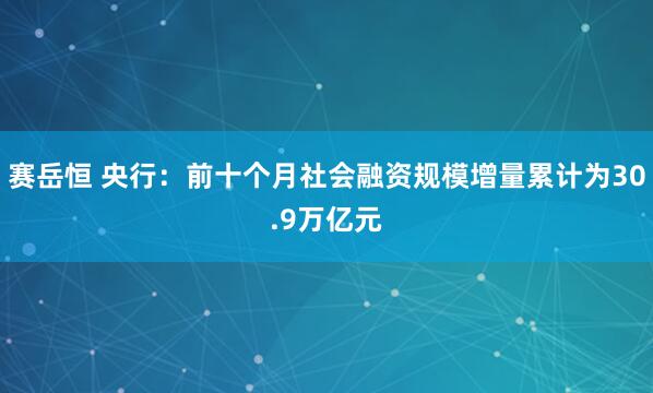 赛岳恒 央行：前十个月社会融资规模增量累计为30.9万亿元